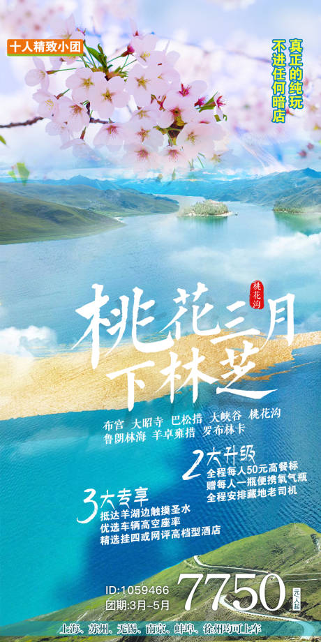 桃花三月下林芝西藏旅游海报