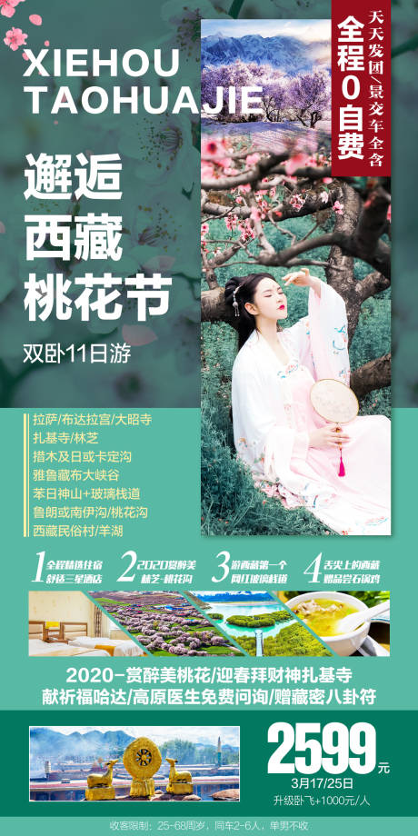 西藏桃花节海报设计 林芝桃花节旅游海报