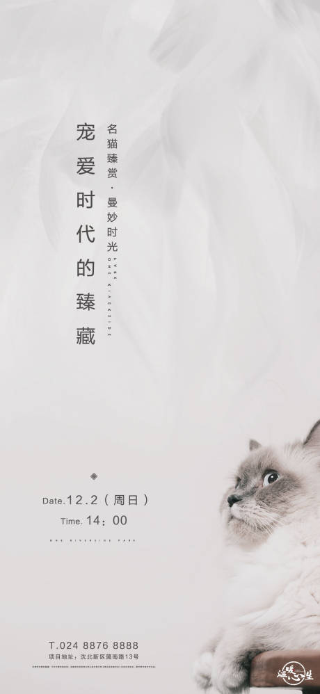 猫咪萌宠活动海报