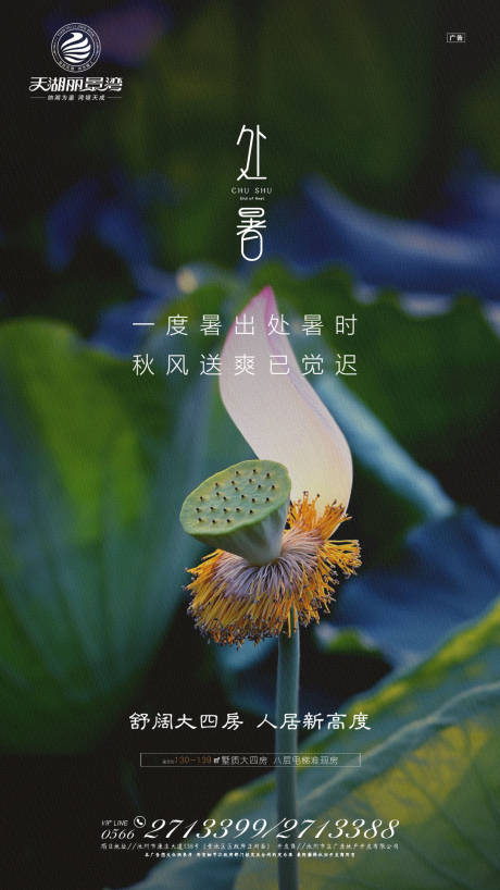 源文件下载【房地产处暑节气移动端海报】编号：61820000135843920