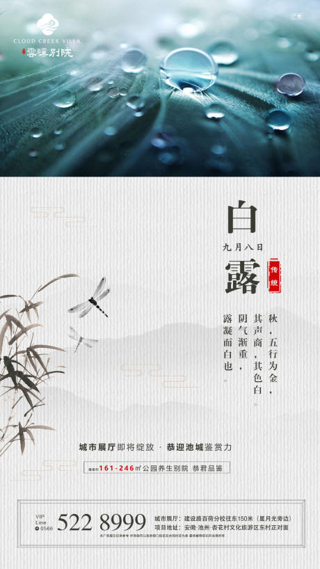 源文件下载【房地产白露中国风移动端海报】编号：79430000142656983