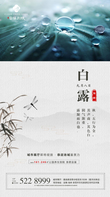 房地产白露中国风移动端海报-源文件【享设计】