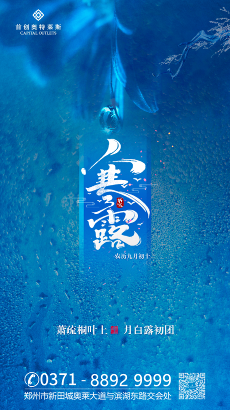 源文件下載【寒露二十四節氣移動端海報】編號：33670000197247652