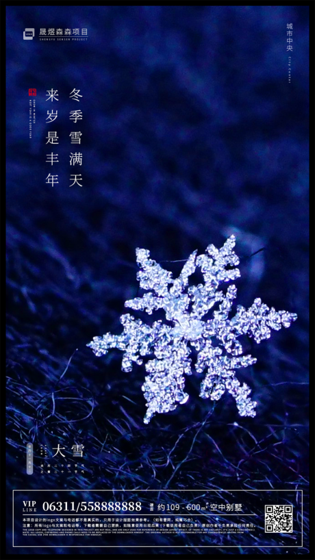 简约大雪节气移动端海报-源文件【享设计】