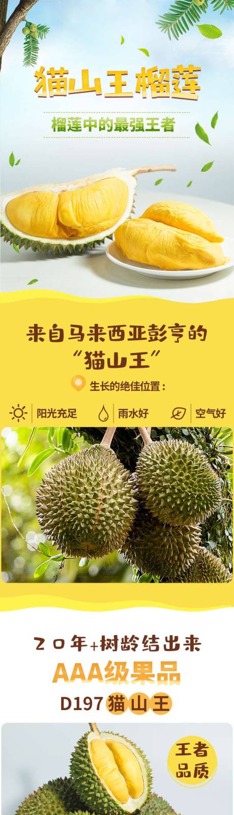 源文件下載【享設計】搜索編號：25570000344114291【榴蓮促銷電商詳情頁】