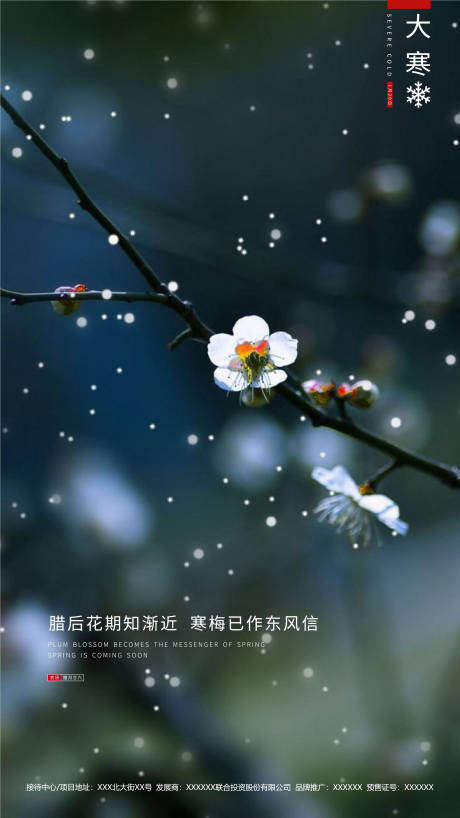 源文件下載【大寒二十四節氣移動端海報】編號：75830000320877693
