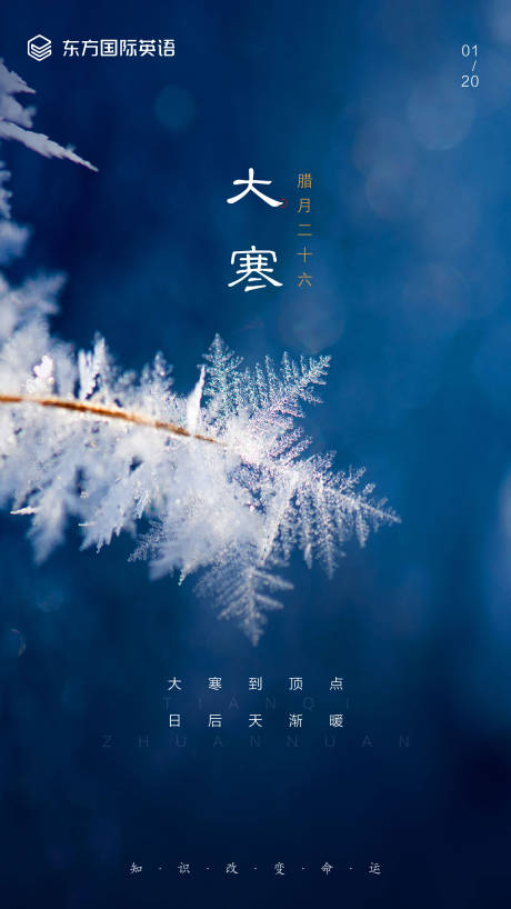 源文件下载【大寒节气移动端海报】编号：36450000371955885