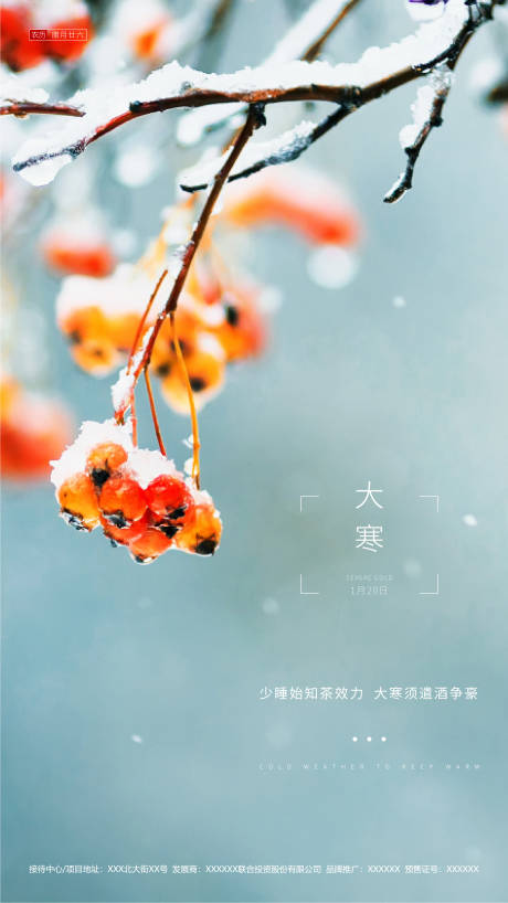 源文件下载【享设计】搜索编号：61970000345005327【房地产大寒节气移动端海报】