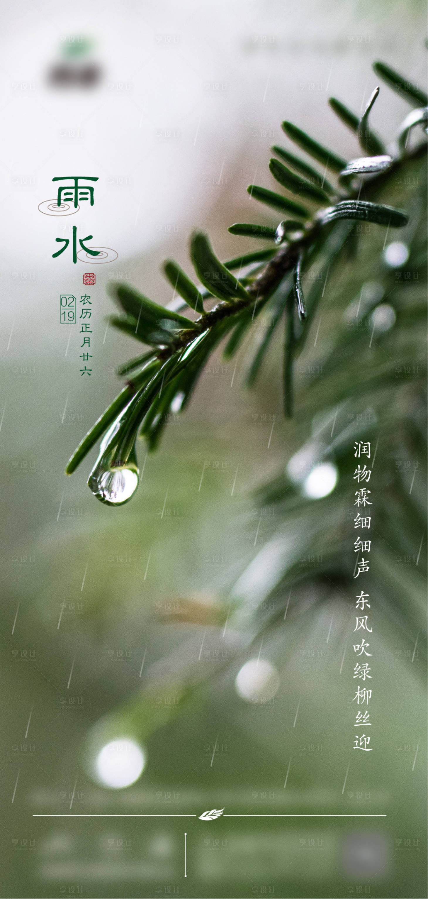 源文件下载【雨水节气移动端海报】编号：24590000418566713