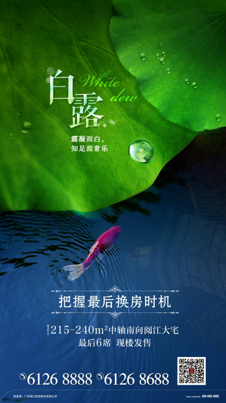源文件下载【地产白露节气移动端海报】编号：17280000411829078