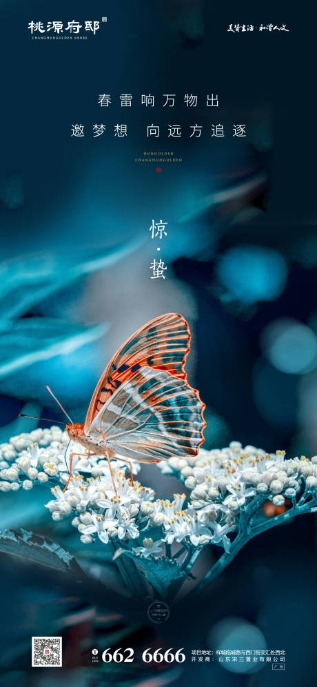 源文件下載【簡潔大氣驚蟄節氣海報】編號：86250000435126848