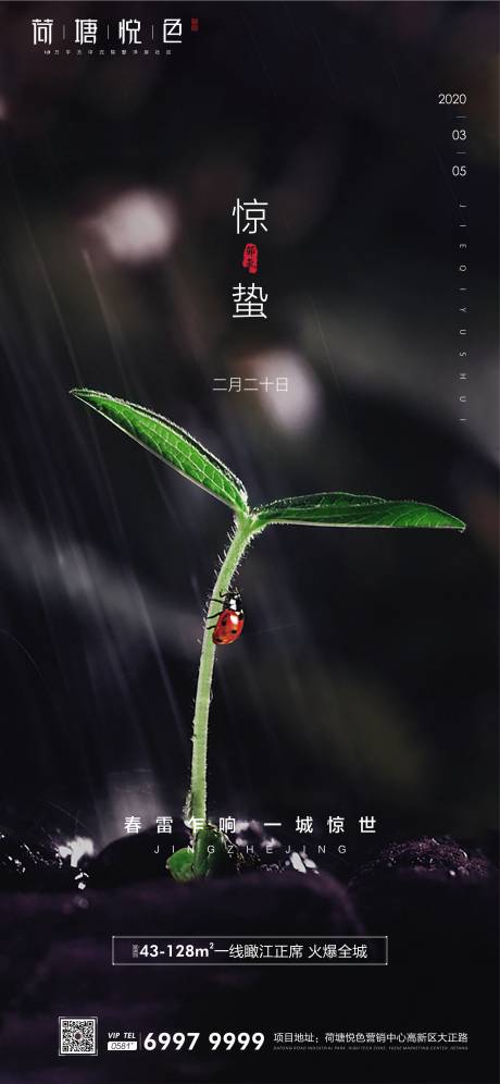 源文件下载【精美惊蛰海报】编号：47860000458693337