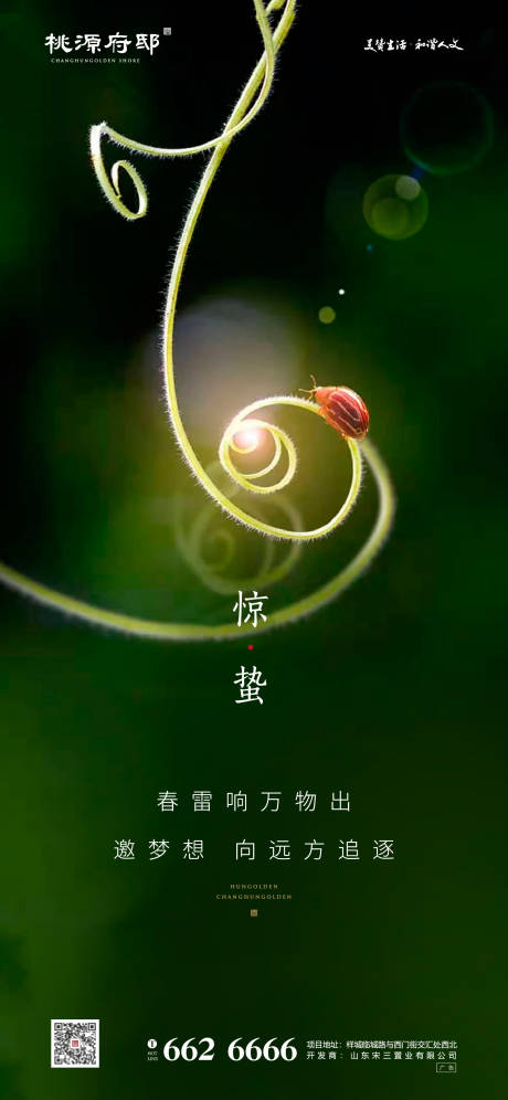 源文件下载【享设计】搜索编号：21120000435238841【大气简洁绿色惊蛰移动端海报】