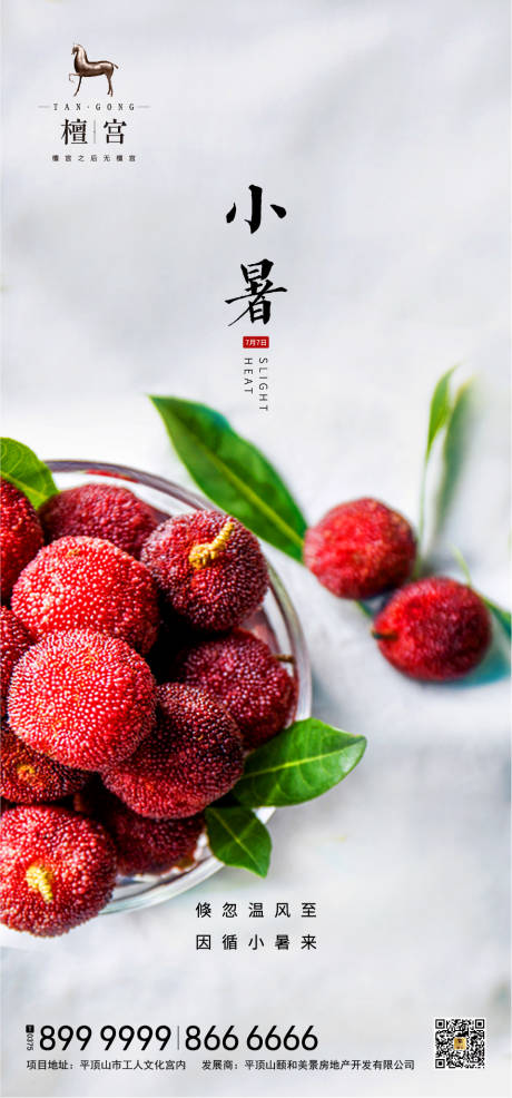 源文件下載【小暑節(jié)氣楊梅海報】編號：56360000427124816