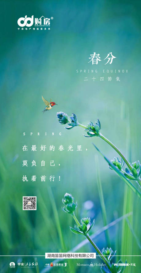源文件下载【春分节气移动端海报】编号：48490000430777491