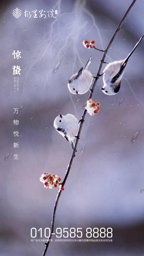源文件下載【驚蟄節(jié)氣移動(dòng)端海】編號(hào)：88650000460637209