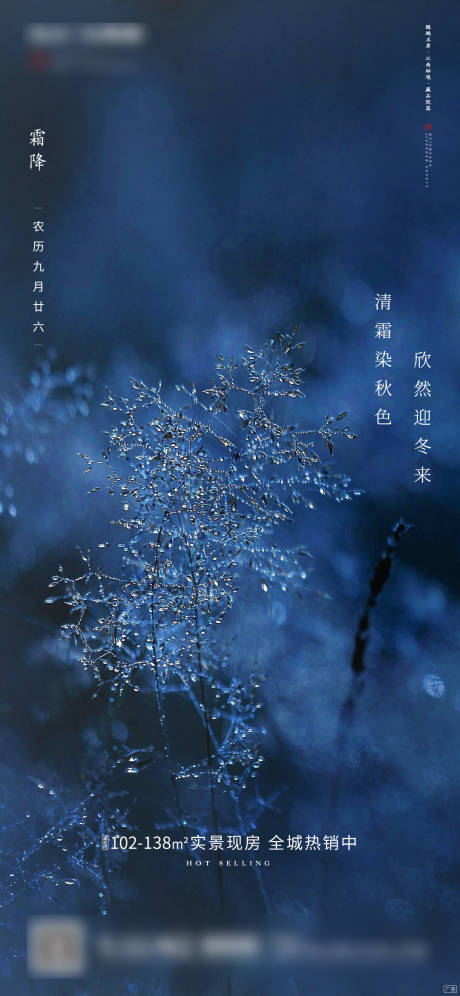 源文件下载【霜降节气微信海报】编号：25540000432759534
