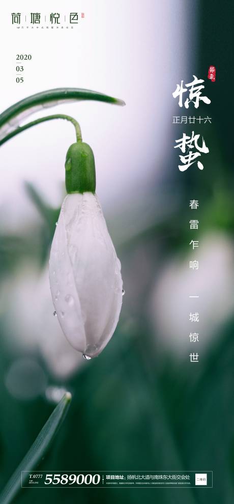 源文件下载【享设计】搜索编号：34400000429848148【质感节气惊蛰海报】