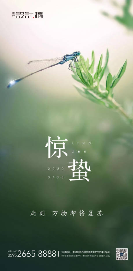 源文件下载【享设计】搜索编号：53900000453998595【惊蛰传统节气地产海报】