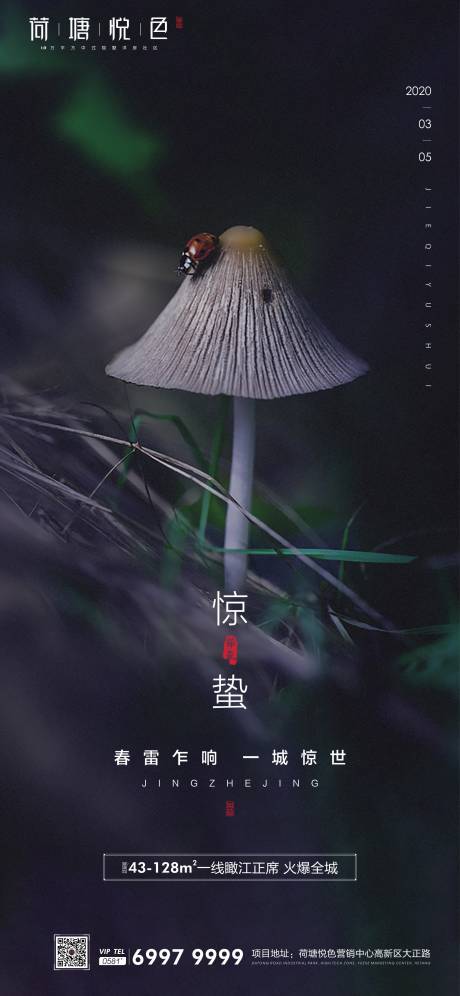 源文件下載【蘑菇驚蟄地產海報】編號：64310000458719356
