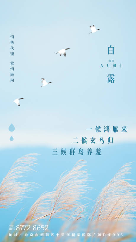 源文件下載【享設計】搜索編號：82650000493243383【白露節氣移動端海報】