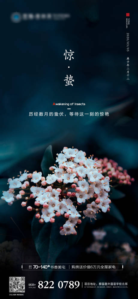 源文件下载【惊蛰二十四节气移动端海报】编号：43100000482802450