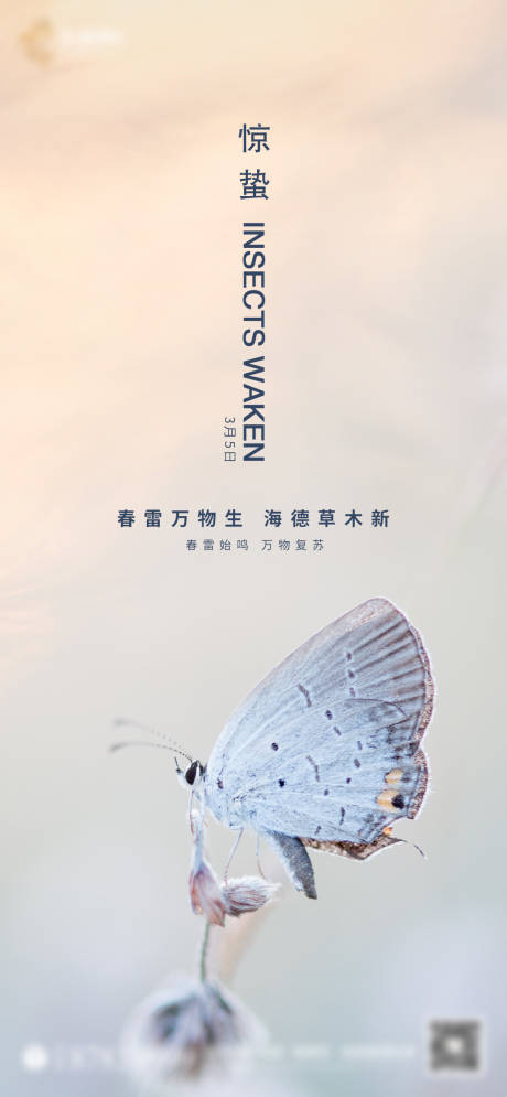 源文件下载【地产惊蛰节气移动端海报】编号：63920000478488792