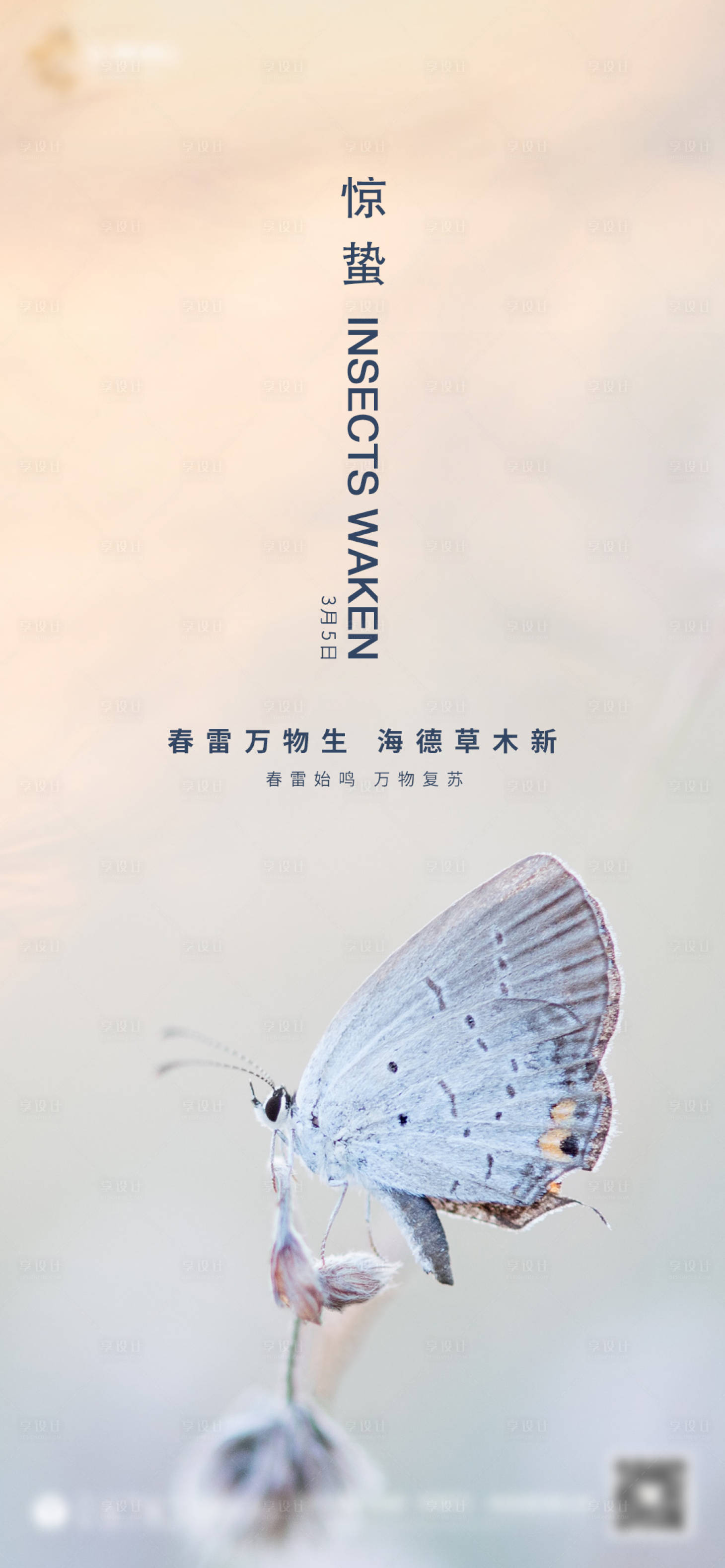 源文件下载【享设计】搜索编号：63920000478488792【地产惊蛰节气移动端海报】