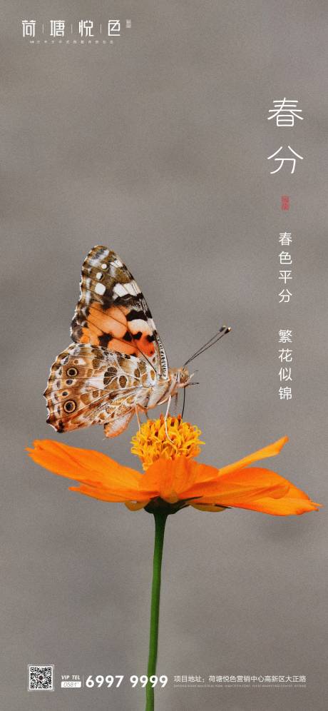 源文件下載【春分節氣移動端海報】編號：61240000545238914