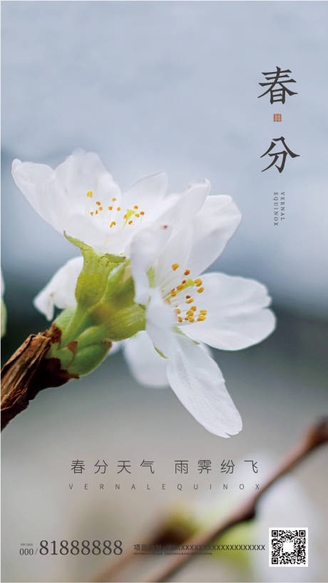 源文件下载【春分节气清新花朵地产海报】编号：83550000510746502