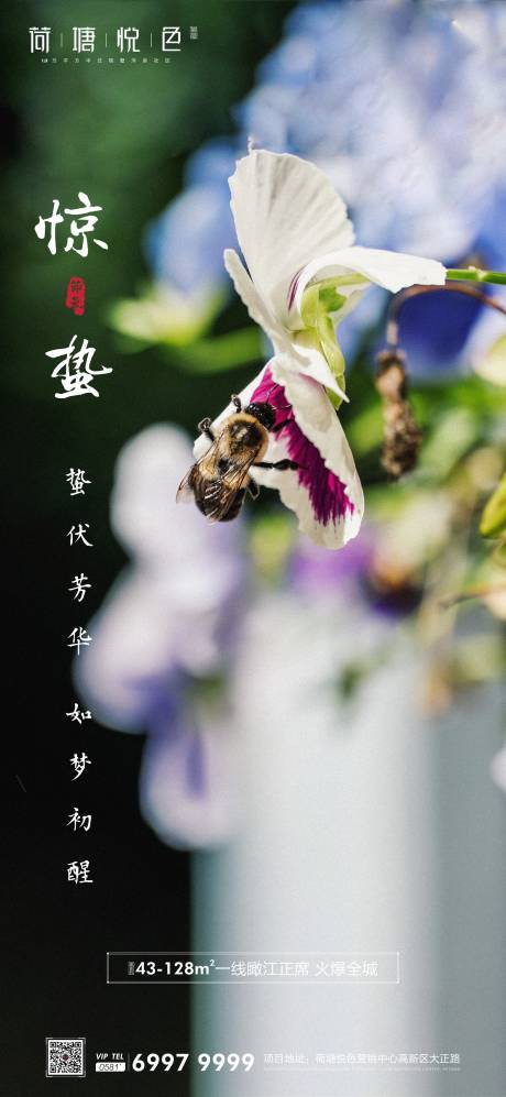 源文件下载【花开惊蛰节气移动端海报】编号：36960000472122310