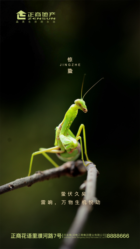 源文件下载【房地产二十四节气惊蛰海报】编号：57820000484529374