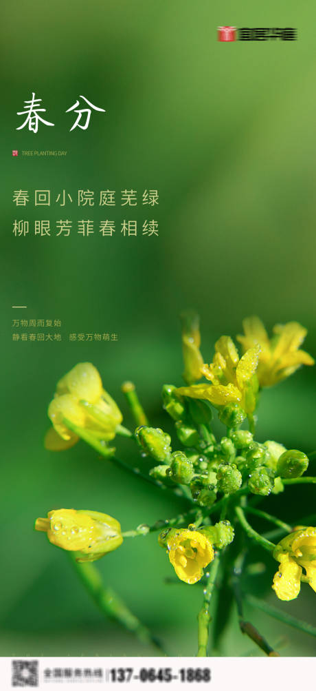 源文件下載【春分節氣移動端海報】編號：46960000566128562