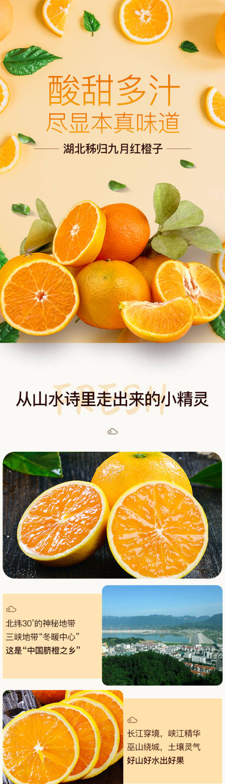 源文件下載【享設計】搜索編號：64150000631931741【橘子臍橙水果電商詳情頁】