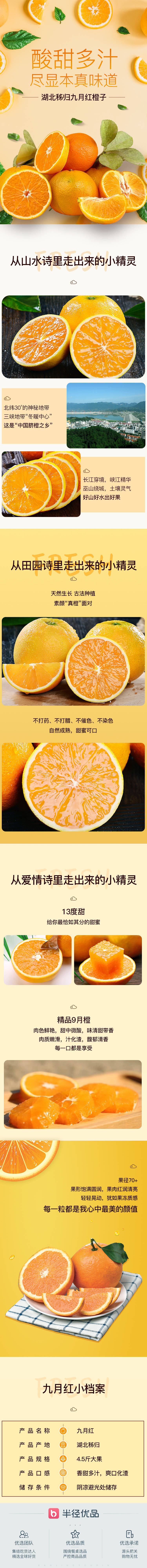 编号：20200330140719403【享设计】源文件下载-橘子脐橙水果电商详情页