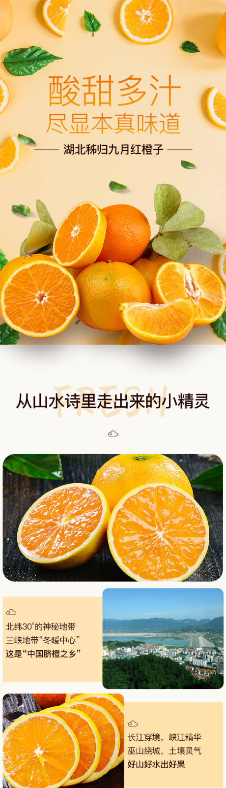 编号：20200330140719403【享设计】源文件下载-橘子脐橙水果电商详情页