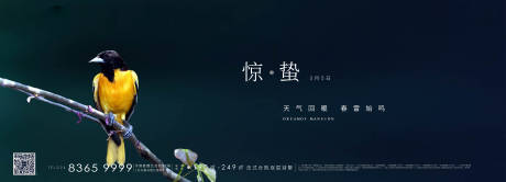 源文件下載【享設(shè)計】搜索編號：20140000515248016【驚蟄海報】