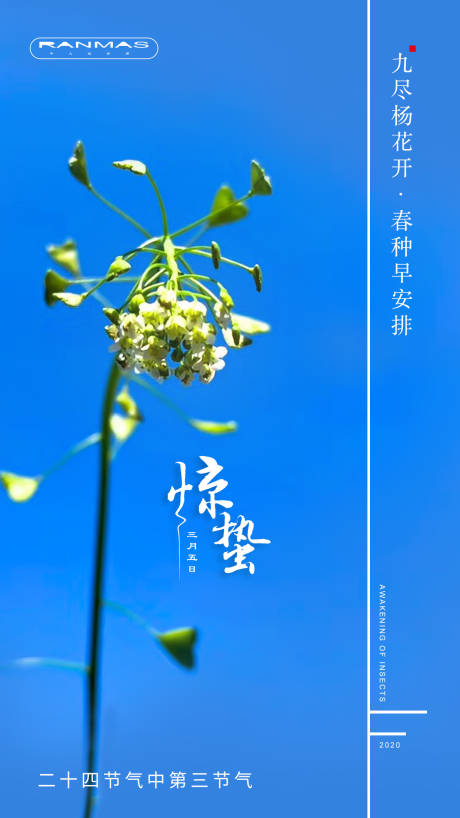源文件下載【驚蟄海報】編號：37100000475225230