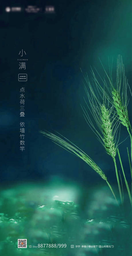 源文件下载【小满节气海报】编号：18890000563503384