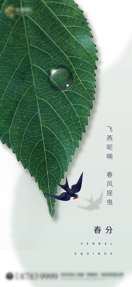 源文件下載【春分節氣移動端海報】編號：39660000533291752