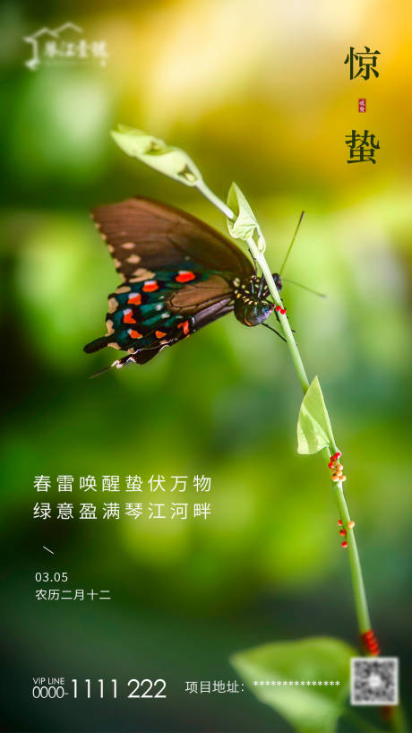 源文件下载【房地产微信朋友圈惊蛰节气海报】编号：88620000482288053