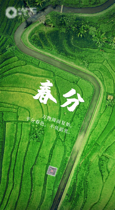 源文件下载【春分节气移动端海报】编号：94310000576081138