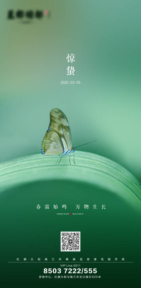 源文件下载【享设计】搜索编号：68560000476653711【惊蛰节气移动端海报】