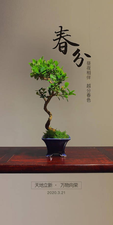 源文件下载【春分节气海报】编号：53850000571782604