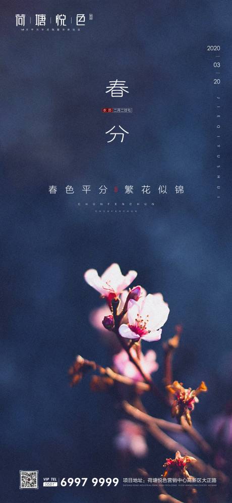 源文件下载【春分节气海报】编号：78940000545132007