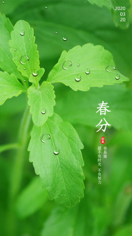 源文件下载【春分节气微推海报】编号：48740000551746081