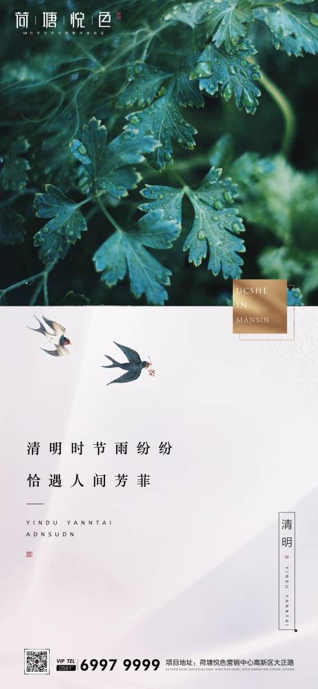 源文件下载【简约清明节节日移动端海报】编号：24920000586917686
