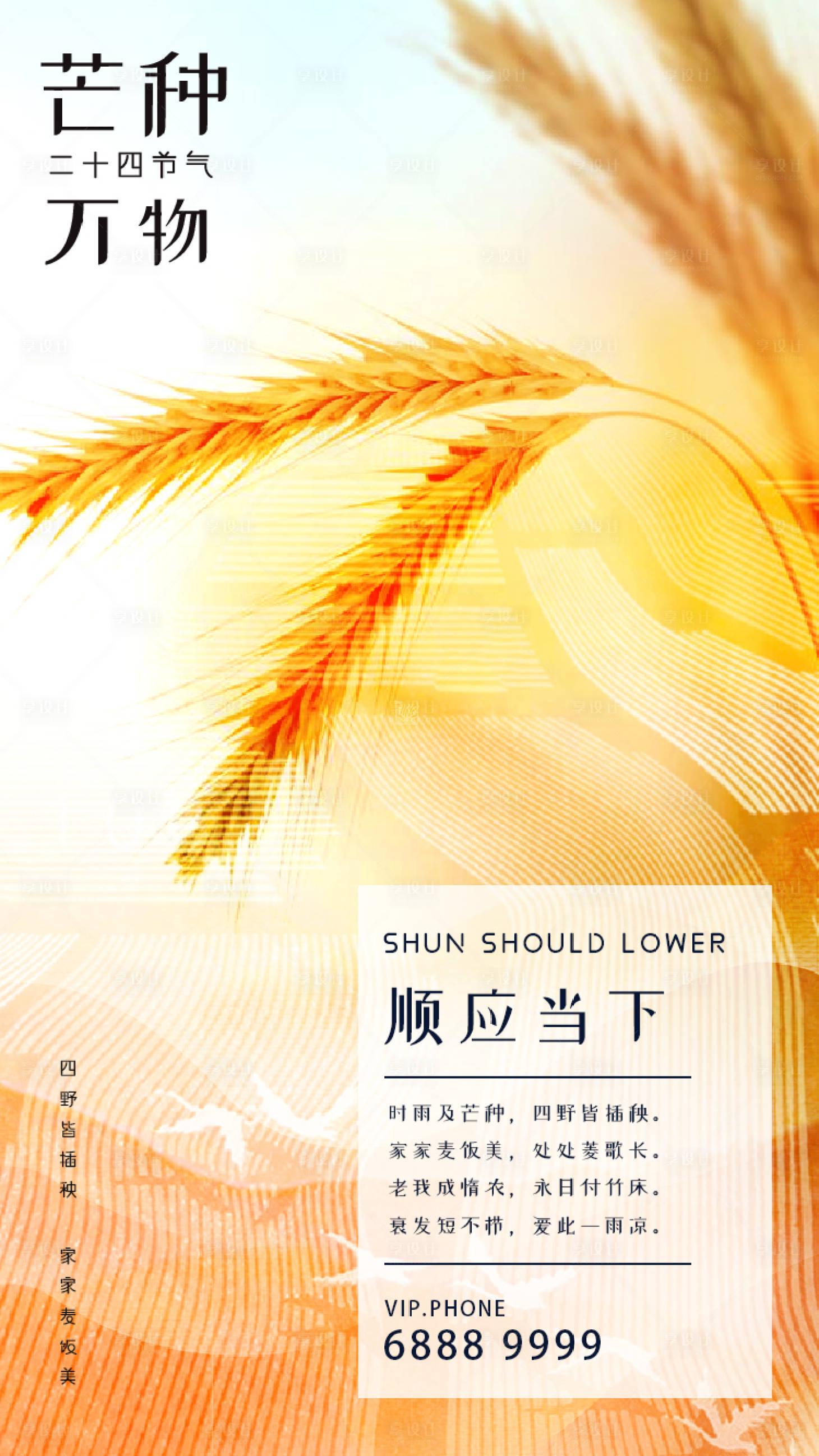 源文件下载【芒种节气移动端海报】编号：12590000552341872
