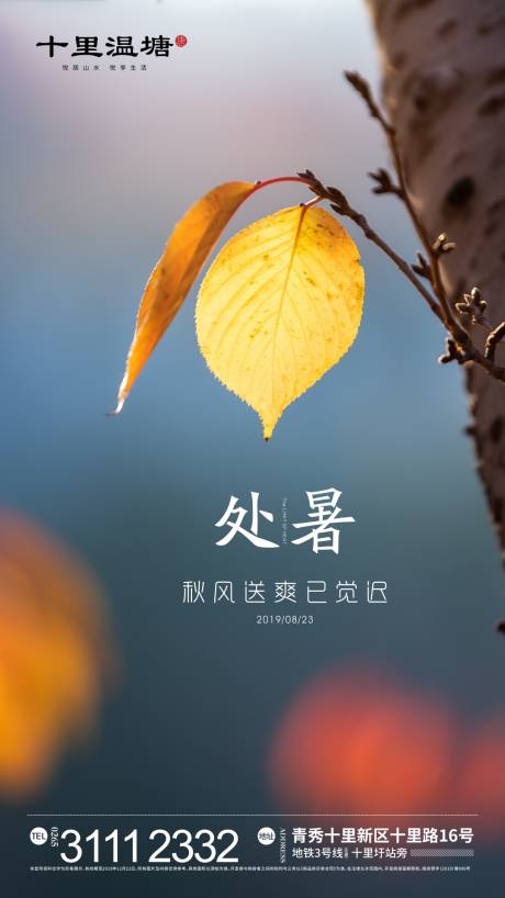 源文件下载【处暑节气移动端海报】编号：10990000602984883