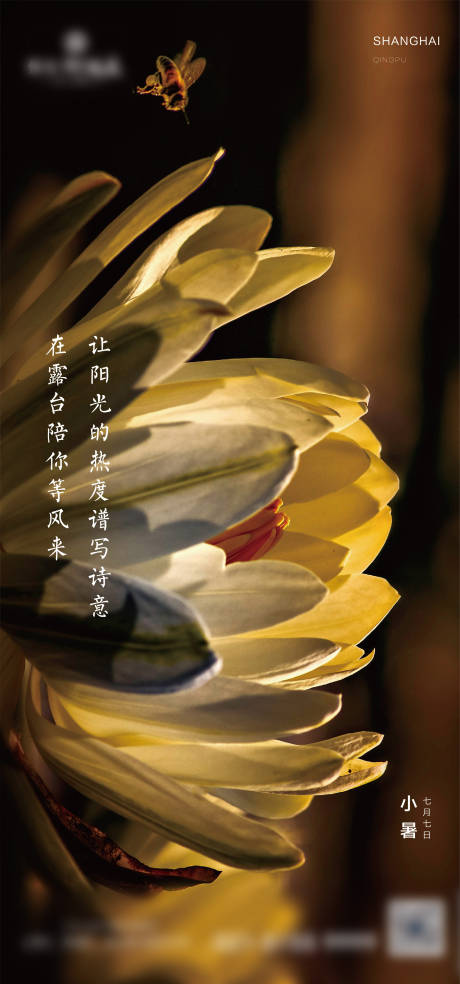 源文件下载【享设计】搜索编号：75310000568887466【小暑节气移动端海报】